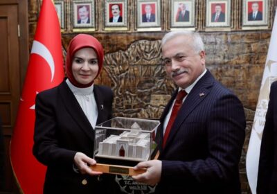 bir dizi ziyaret