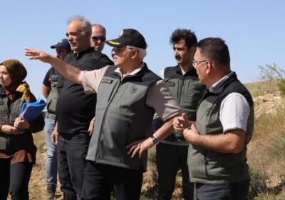 Altınkaya ve