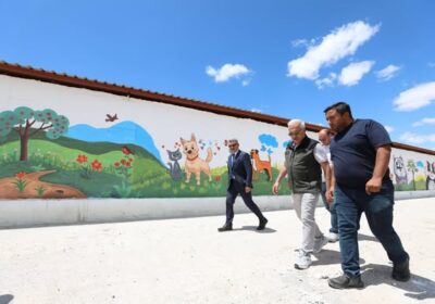 Aksaray Sahipsiz Hayvan Bakımevi ve Doğal Yaşam Alanı