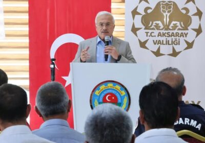 Orman Yangınları