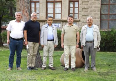 Bir asırlık koca çınar;