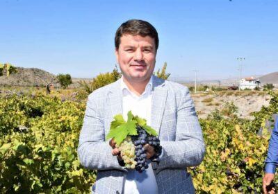 Aksaray’da Bağ Bozumu ve Pekmez Festivali Duyurusu
